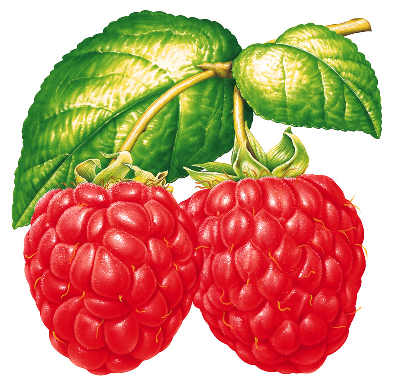 E 704