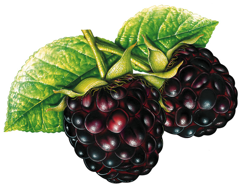 E 705