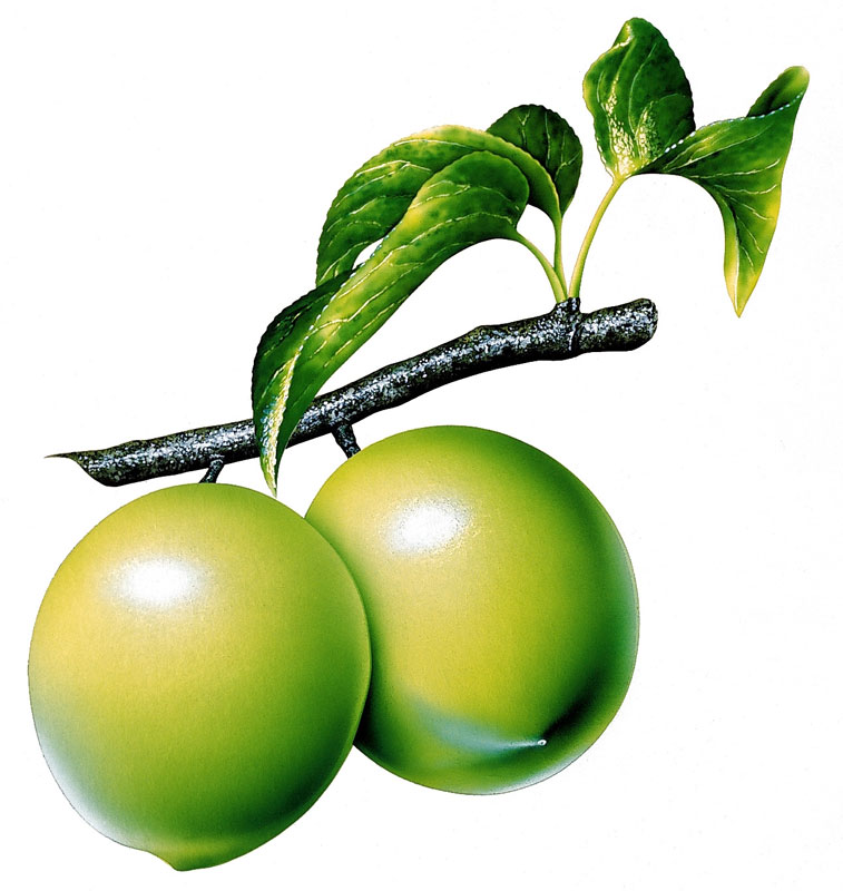 E 706