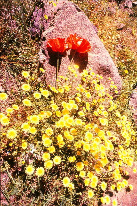 I 114
