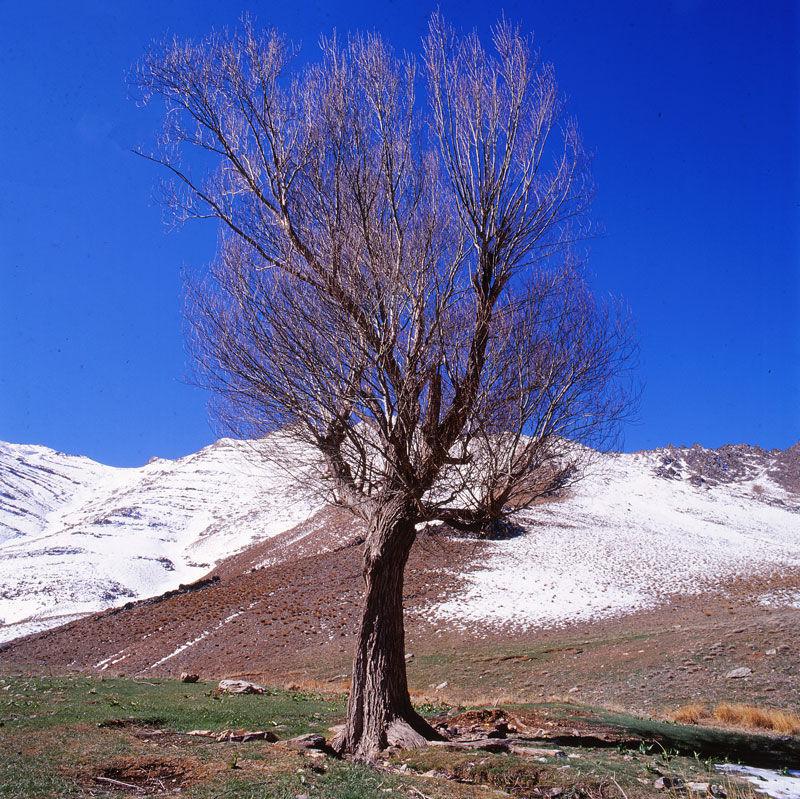 I 171