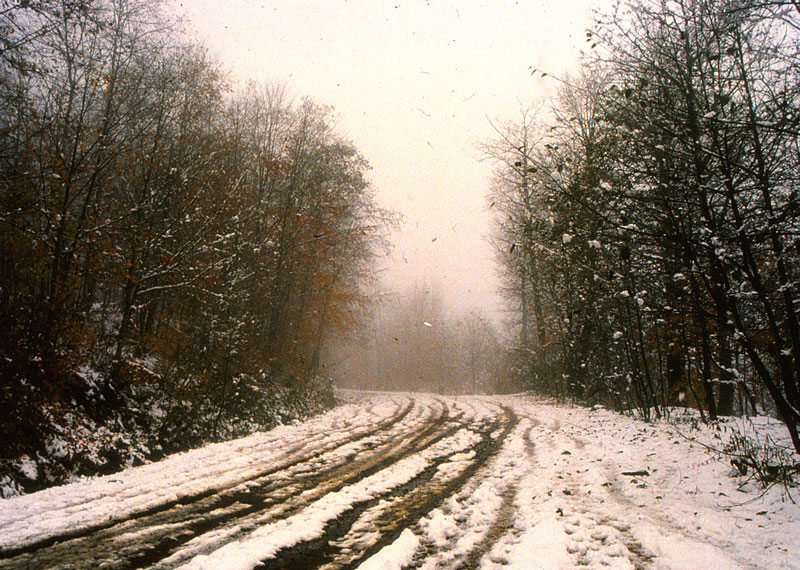I 135
