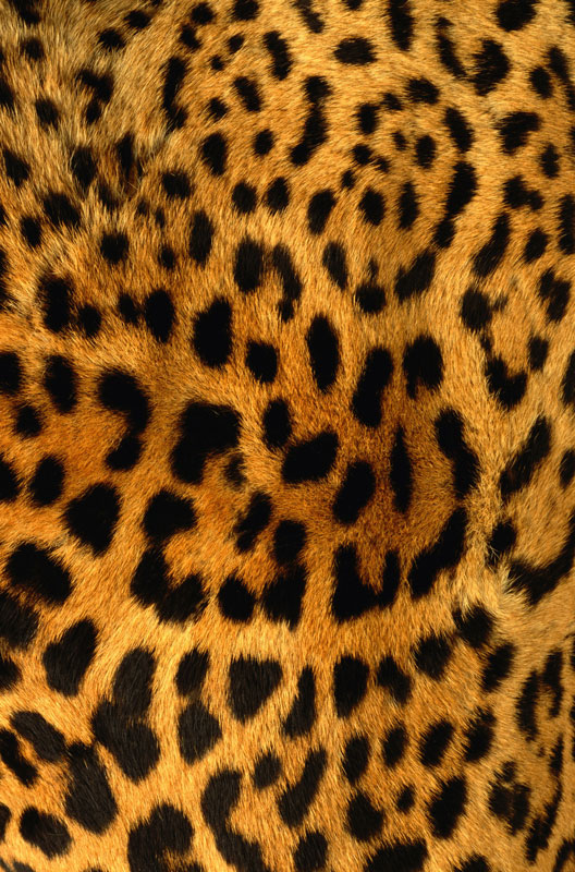 H 614