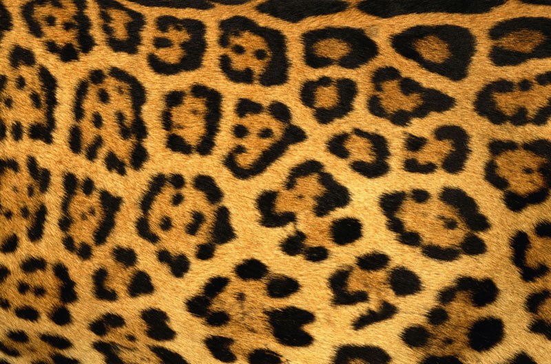 H 682