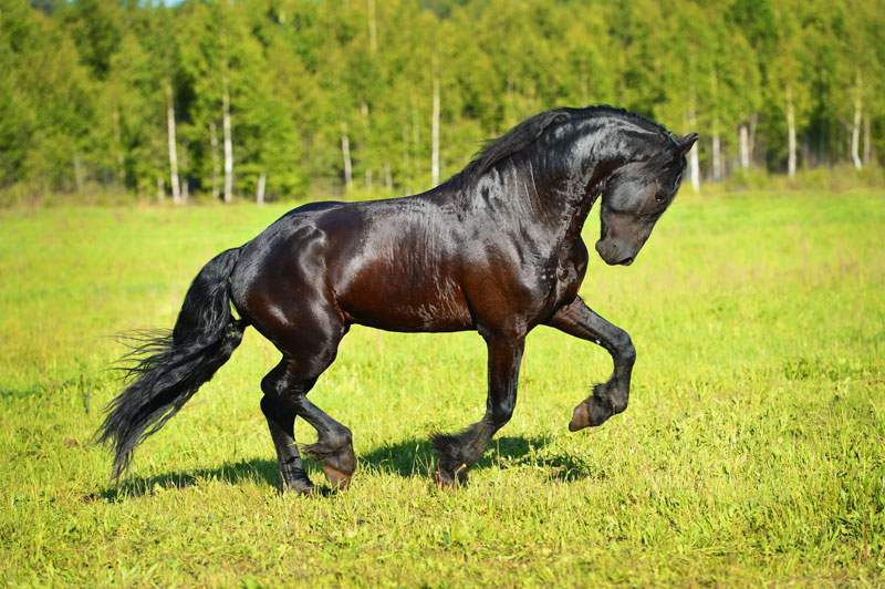 H 759