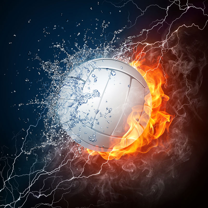 D 207
