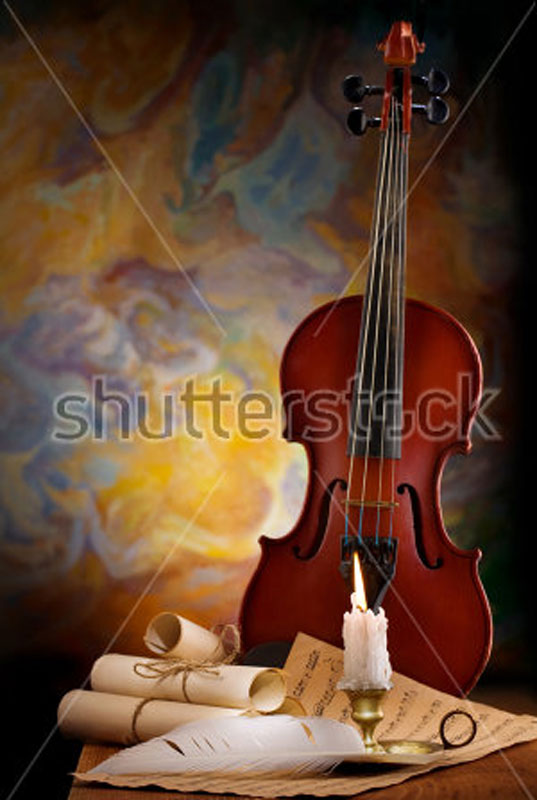 D 241