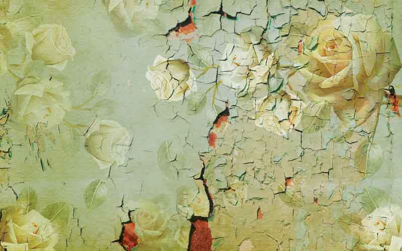 PO 256